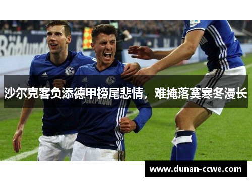沙尔克客负添德甲榜尾悲情，难掩落寞寒冬漫长