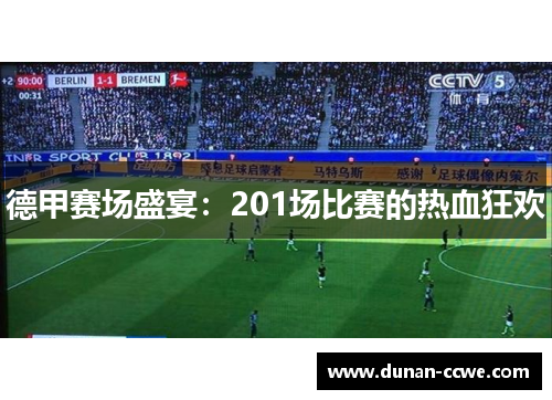 德甲赛场盛宴：201场比赛的热血狂欢